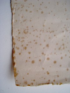Foxing Lithograph, with foxing, before treatment